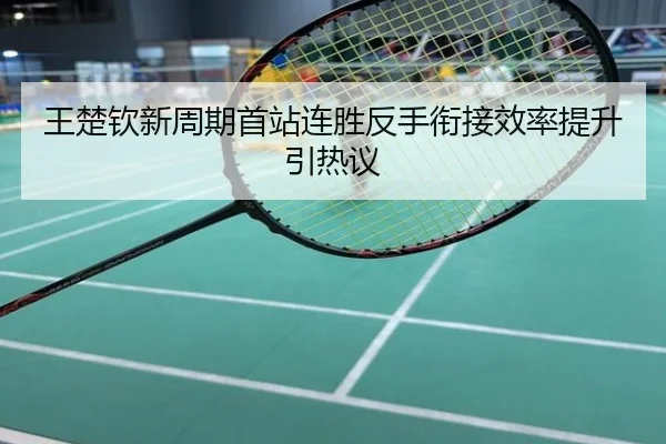 王楚钦新周期首站连胜反手衔接效率提升引热议